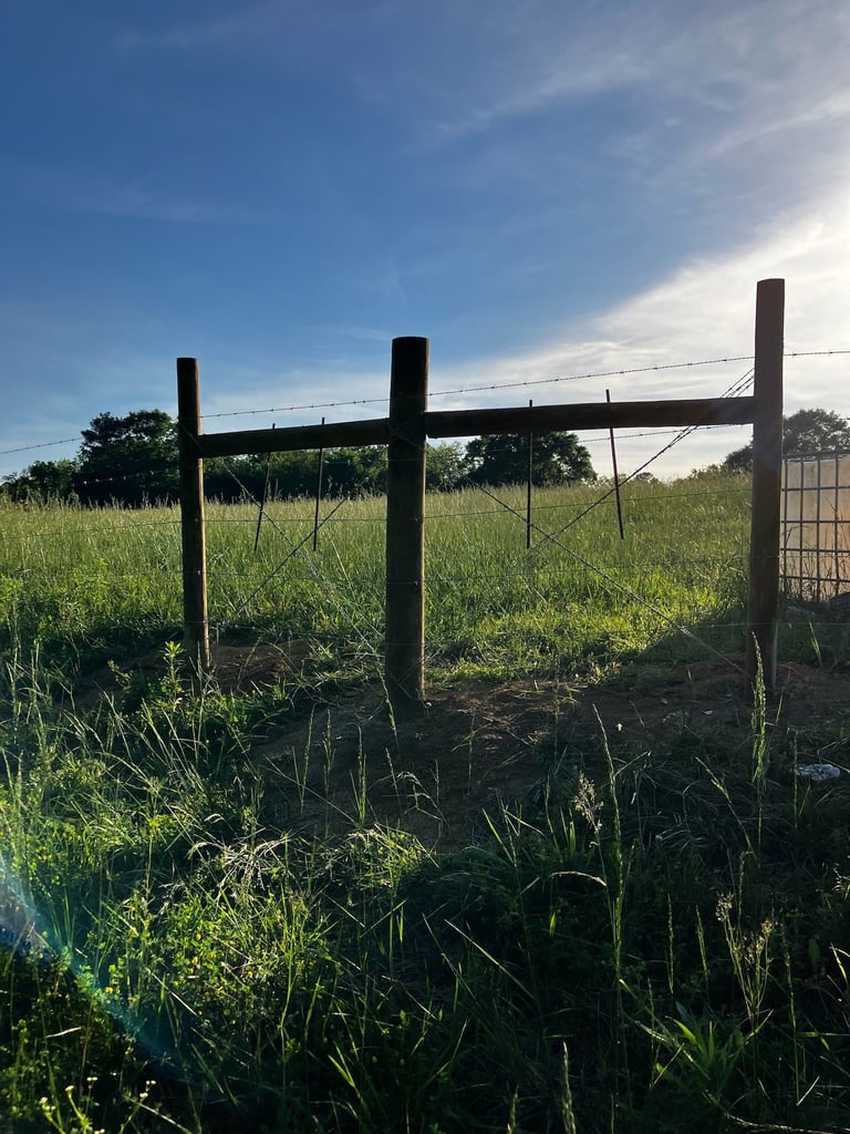 Wooden fence with wire fencing in grassy pasture under blue sky with clouds