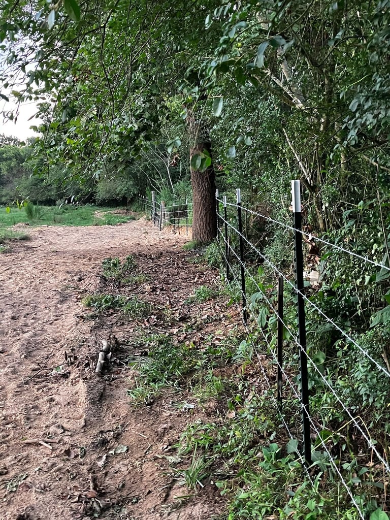 Rural dirt path lined with metal fence and ivy-covered trees in countryside setting