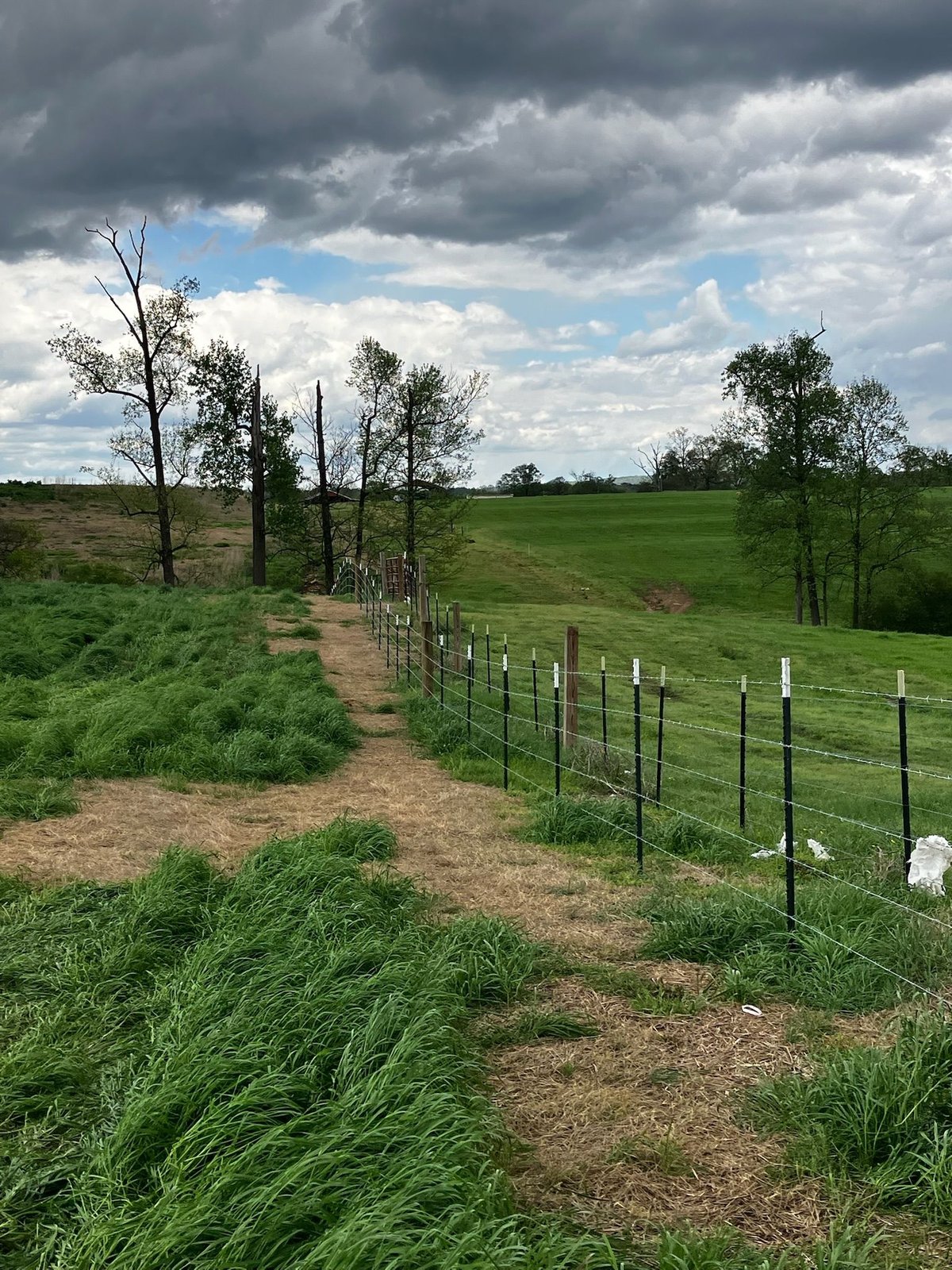 Rural pastoral landscape with a metal fence running through rolling green fields under dramatic cloudy skies