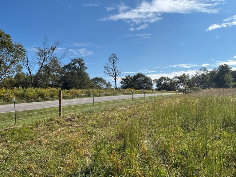 Rural landscape with wooden fence, grassy field, scattered trees, and clear blue sky