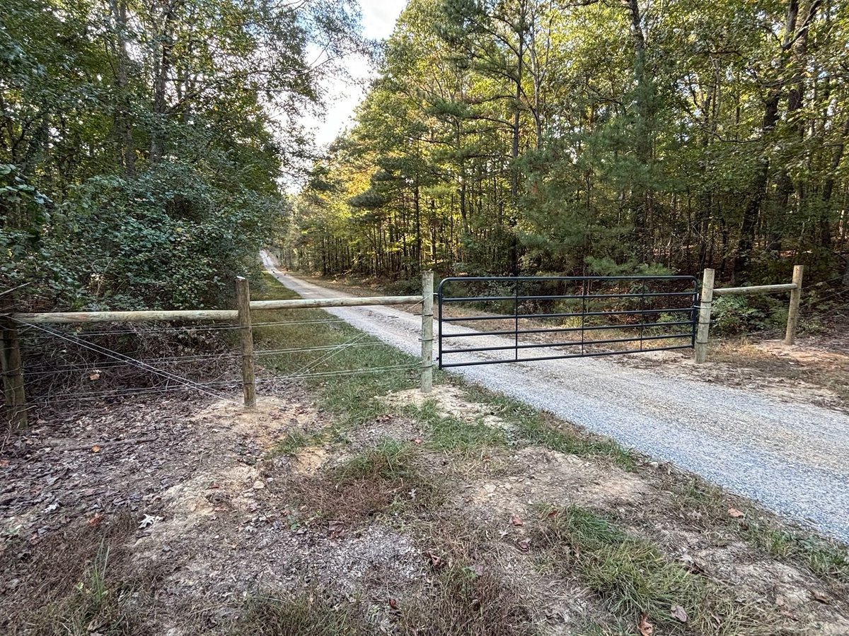 Gravel driveway with wooden rail fence and black metal gate leading into a wooded area