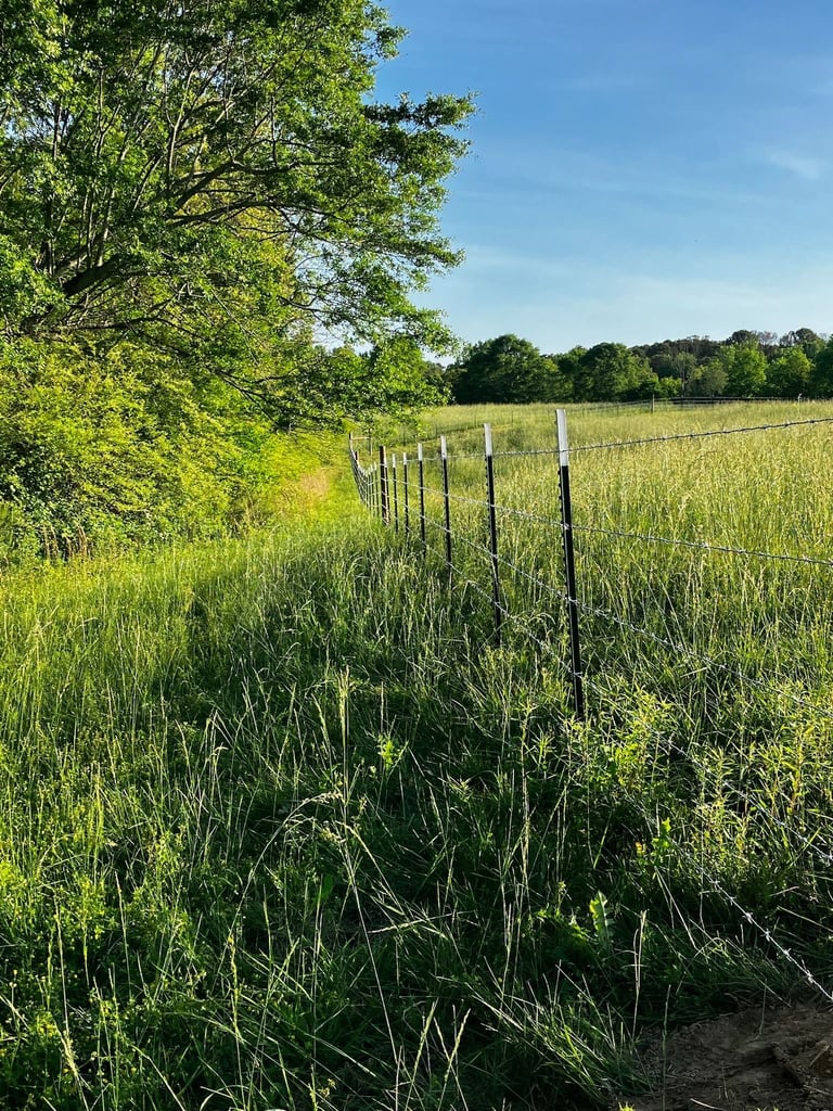 Wooden fence posts along green pasture with lush trees and blue sky