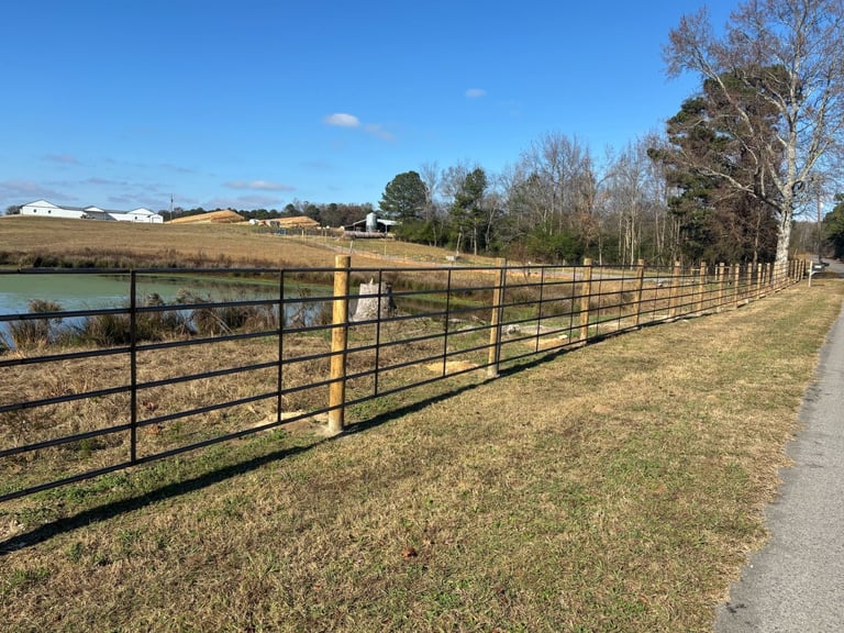 Rural pasture with black metal fencing along a pond, trees lining the horizon, and clear blue sky